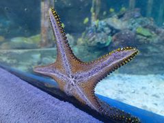 -太平洋海底世界