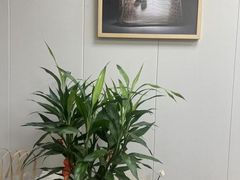 -会麦二手奢侈品包包手表回收寄卖(八佰伴店)