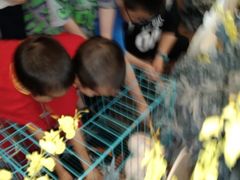 -远洲凤凰山庄臻味全日餐厅