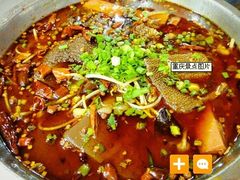 毛血旺-胖娃古镇鸡杂(磁器口总店)