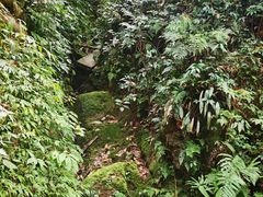 -凤栖山