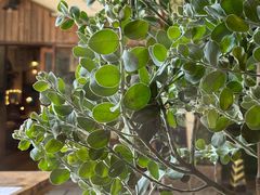 -西关84·History·Art·Cafe