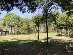-飞来湖湿地公园