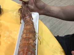 -蚝专家(北滘店)