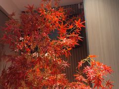 -徽镇小厨·经典徽菜(马连道店)