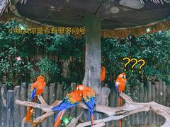 -上海野生动物园
