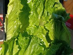 -青瓦炭韩潮烤肉(花园道店)
