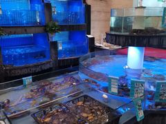水产区-高老庄新家宴(北斗星广场店)