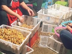 -双喜农庄·菌香园(安居家园店)