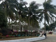 -万绿园