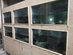 -胖大姐黄辣丁鱼庄(新津店)