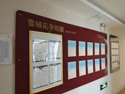 -雪绒花月子会所(祥盛店)