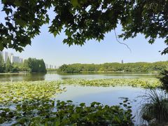 -东湖生态旅游风景区