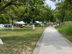 -长广溪湿地公园