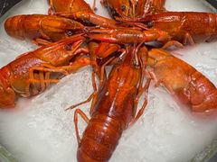 -红盔甲·小龙虾(人民广场店)