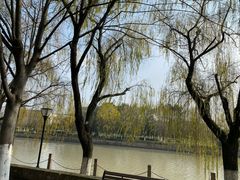 -范蠡湖公园