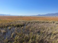 -野鸭湖国家湿地公园