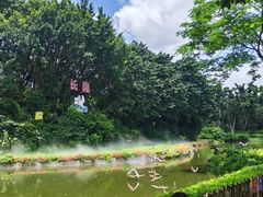 -广州长隆飞鸟乐园