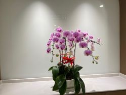 -丰联丽格医疗美容·联合丽格眼整形中心