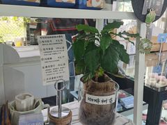 -游心咖啡(青山滨江店)