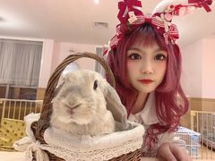 -猫猫幼稚园·撸猫·桌游·电玩