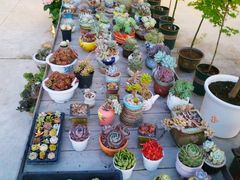 -禾气食店