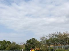 -光明小镇欢乐田园