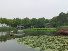 -金银湖国家城市湿地公园