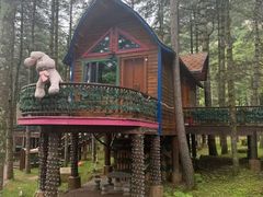 -洛阳白云山景区