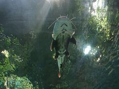 -福州罗源湾海洋世界旅游区