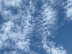 -兔途体检(十里堡青年路店)