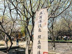 -春风习习