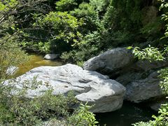 -黑河国家森林公园