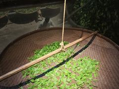 -中国茶叶博物馆(双峰馆区)