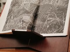 -二酉书店TOYOU BOOKS