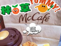 -麦当劳(新华路步步高店)