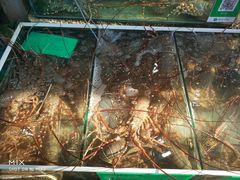 -拉威海鲜市场
