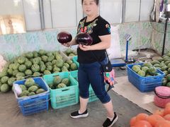 -庞各庄翠芳园西瓜蔬菜基地采摘园