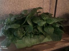 -番食园鲜食火锅(高新店)