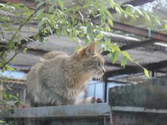 -青藏高原野生动物园