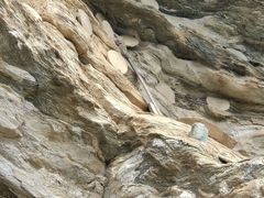 -武当山风景区