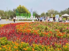 -天津东丽湖风景区