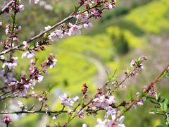 -石潭村