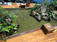 -森味薪火烧•烧鸟居酒屋•日本料理(望京店)