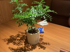 -CURRY YA 熟成咖哩專門店(深圳湾万象城店)
