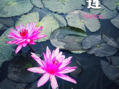-白沙门生态公园