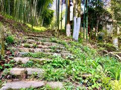-莫干山风景区