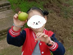 -宾果蒙特梭利托育儿童之家幼儿园(爱琴海店)