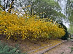 -元大都城垣遗址公园