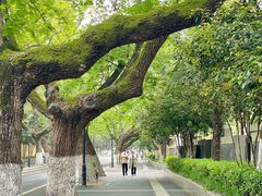 -颐和路民国时期公馆风貌区